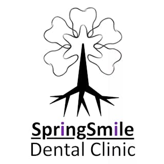 SpringSmile Dental Clinic ทำฟัน รากฟันเทียม จัดฟัน จัดฟันใส ติดรพ.จัตุรัส | Medical