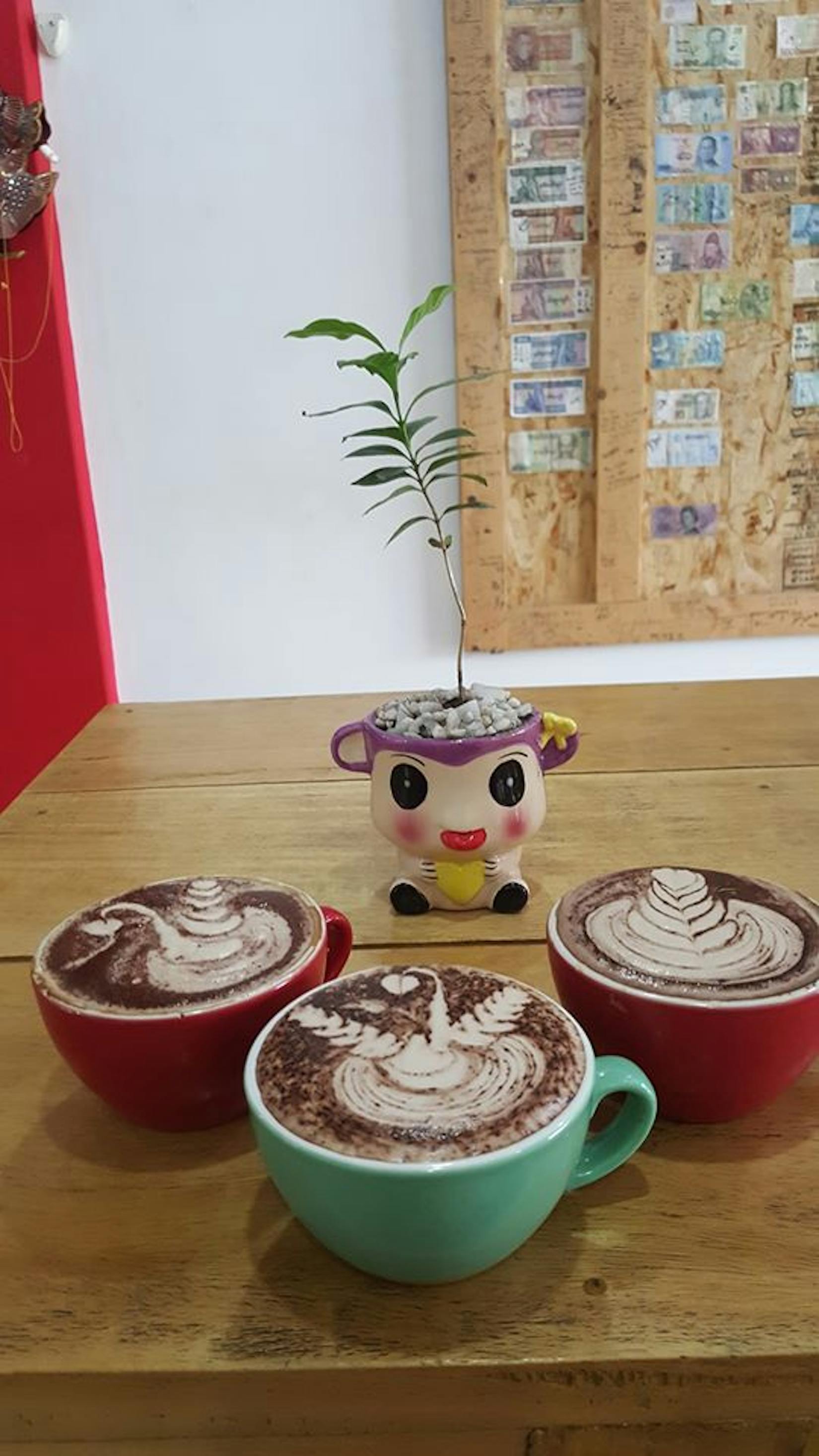 Sensation Coffee Roasters | yathar