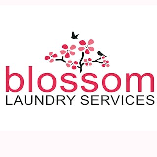 Blossom Laundry Services | Beauty