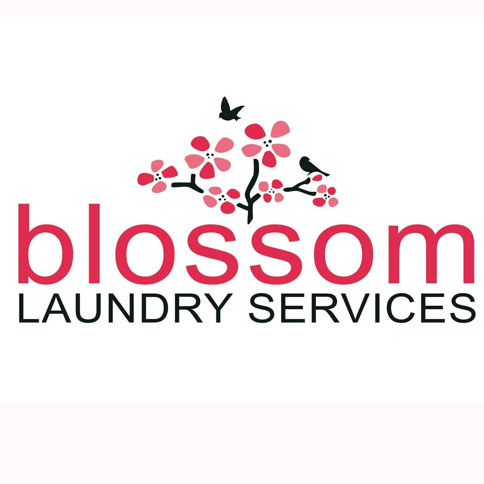 Blossom Laundry Services | Beauty