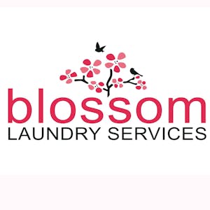 Blossom Laundry Services | Beauty