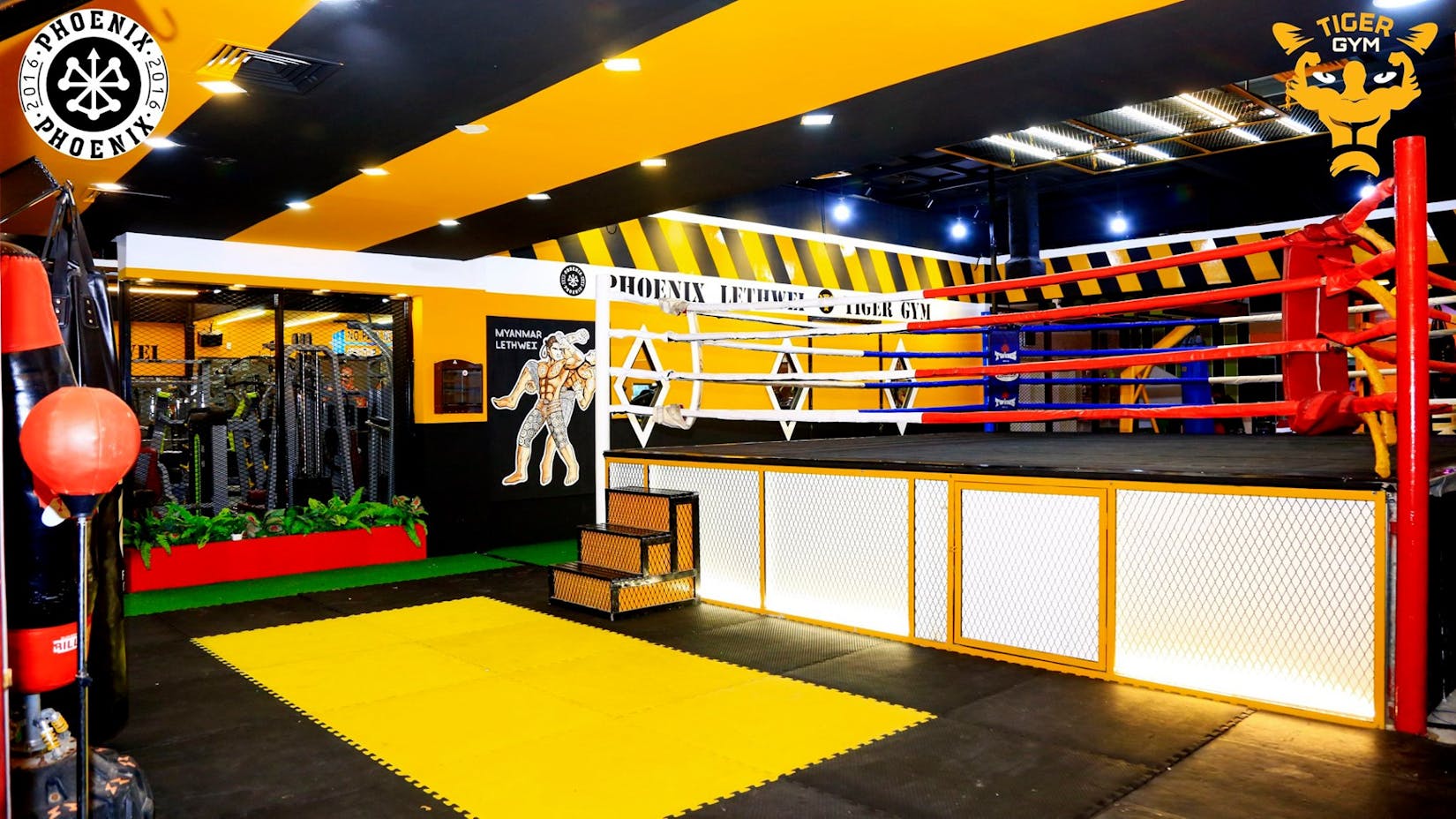 Tiger Gym | Beauty