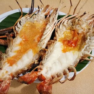 Bua River - Bua River Shop - Rama 3 Shop | yathar