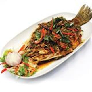 Shwe Lat Yar Foods | yathar