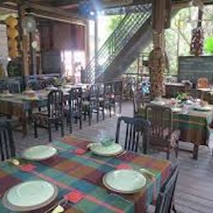 The Green Elephant Restaurant | yathar